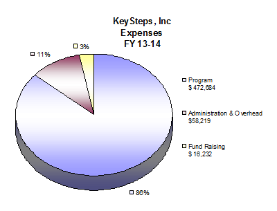 KeySteps expsenses 2014